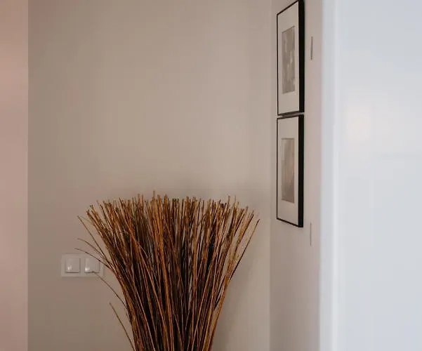 Old Town Wroclaw-2floor Private Parking 公寓